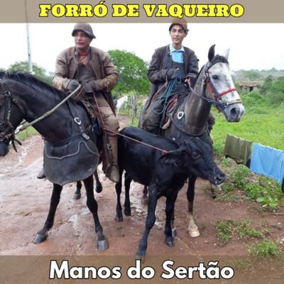 Toada de Vaquejada By Manos do Sertão's cover