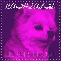 Lil. Shit Biscuit's avatar cover