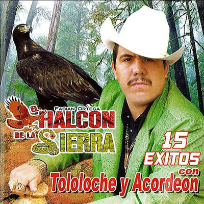 15 Exitos Con Tololoche Y Acordeon's cover