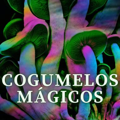 Cogumelos Mágicos's cover