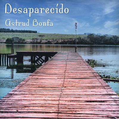 Desaparecido By Astrud Bonfa's cover
