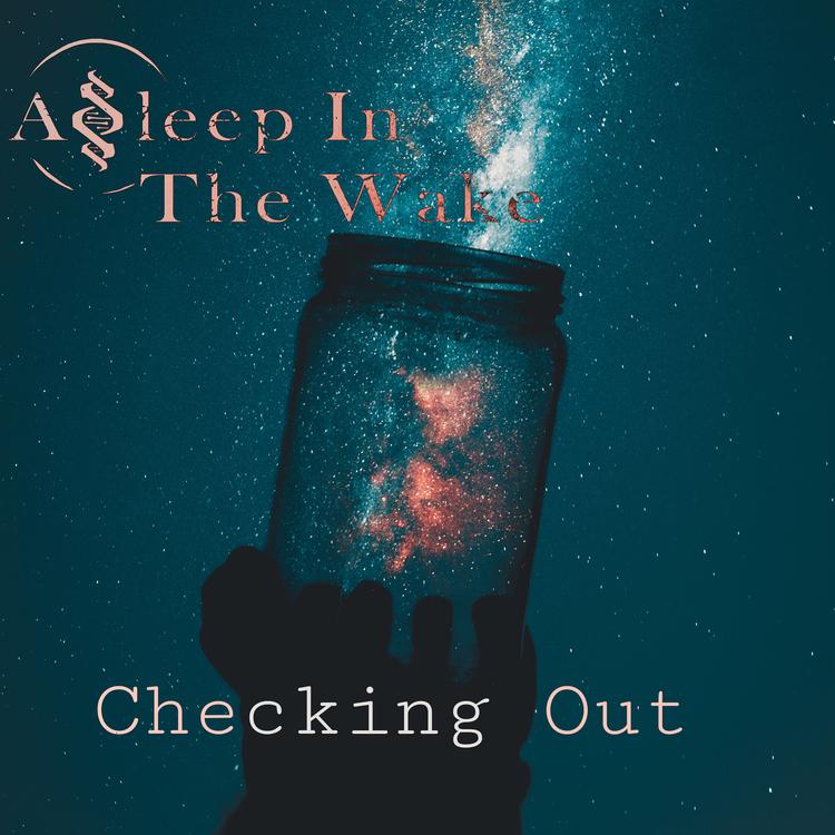 Asleep In The Wake's avatar image
