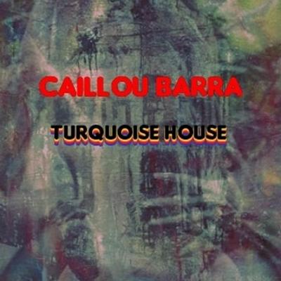 Caillou Barra turquoise house's cover