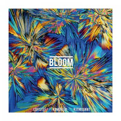 Bloom By KOMOREBI, lofistef, Rjthegiant's cover
