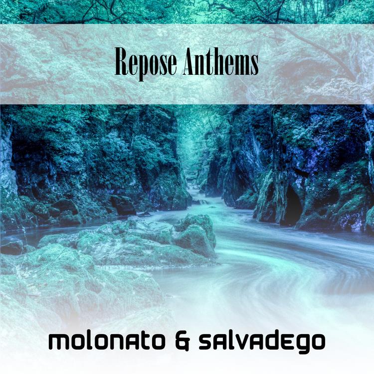 Molonato & Salvadego's avatar image