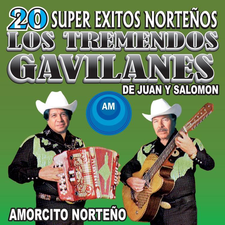 Los Tremendos Gavilanes: Juan Y Salomón's avatar image