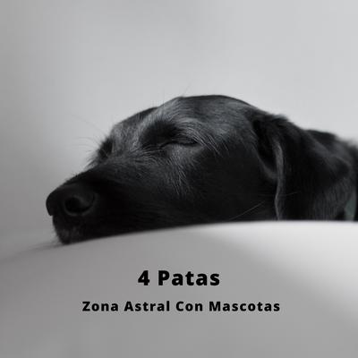 Zona Del Sueño's cover