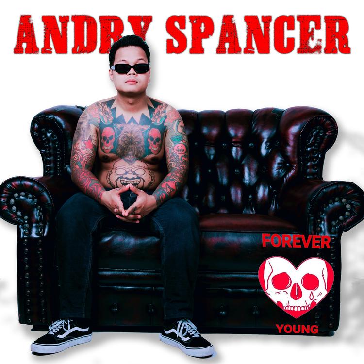 Andry Spancer's avatar image