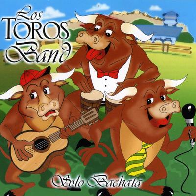 Mi Corazon Lloro By Los Toros Band's cover