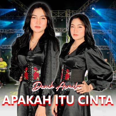 Apakah Itu Cinta's cover