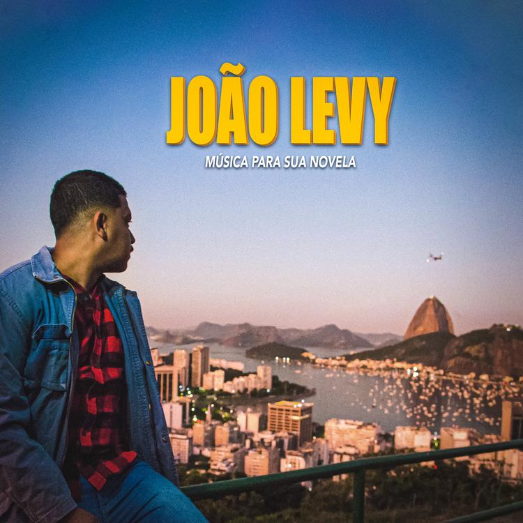 João Levy's avatar image