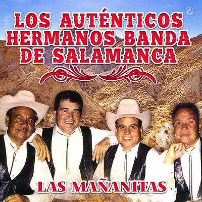 Los Autenticos Hermanos Banda De Salamanca's cover