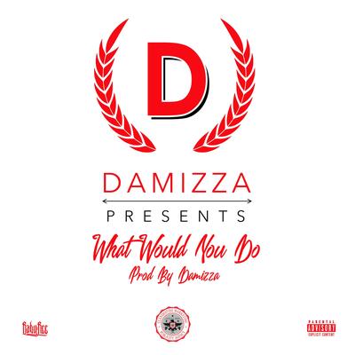Damizza's cover