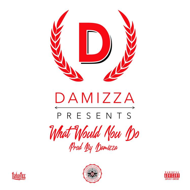 Damizza's avatar image