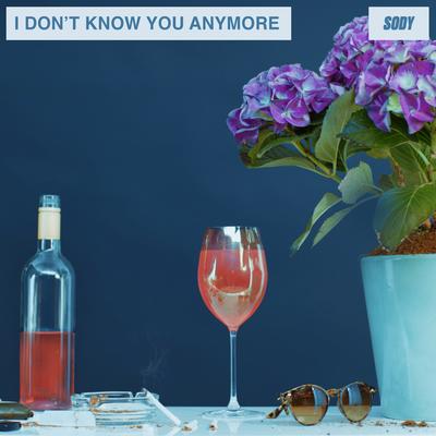 I Don't Know You Anymore (demo)'s cover