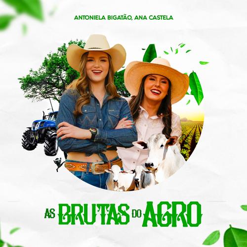 As Meninas da Pecuária (Remix)'s cover