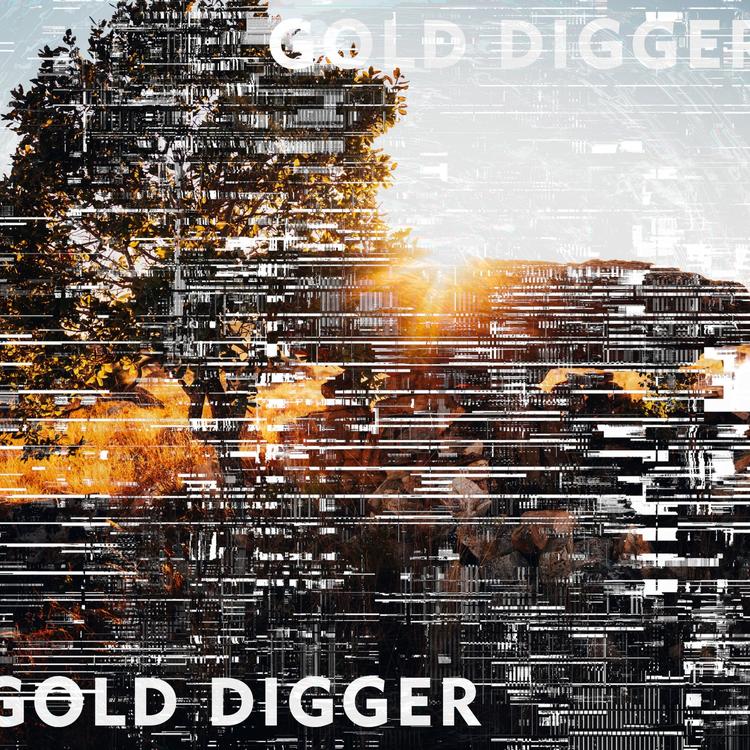 Gold Digger -  Music