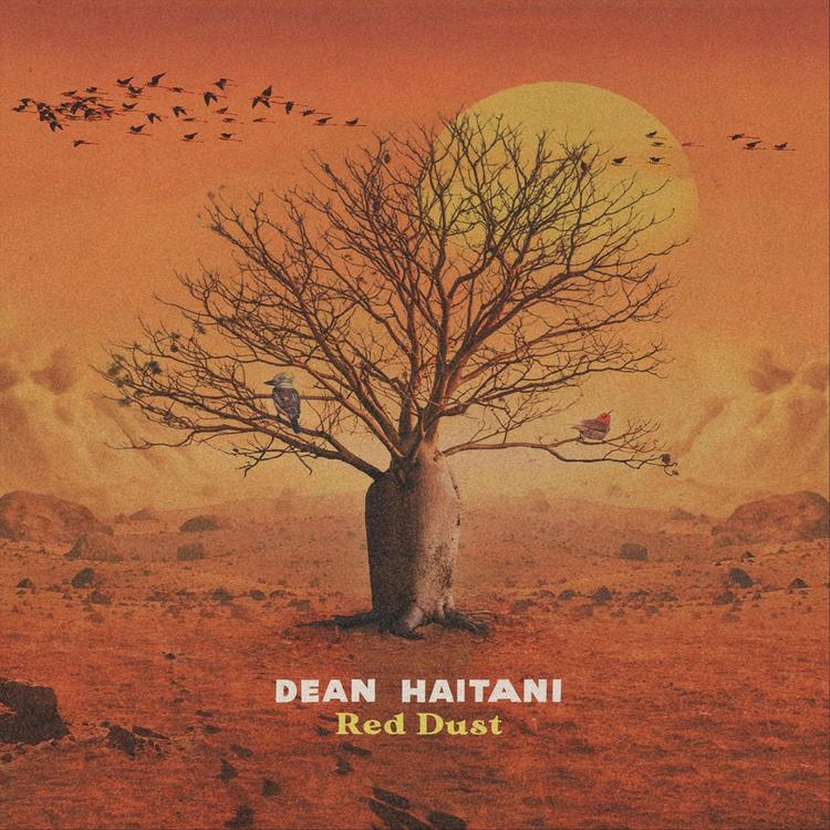 Dean Haitani's avatar image