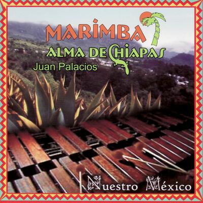 Musica De Mi Tierra-Mexico Lindo Y Querido-Cielito Lindo-La Pajarera-Allá En El Rancho Grande-La Raspa-Mexico Lindo Y Querido By Marimba Alma De Chiapas De Juan Palacios's cover