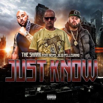 Just Know's cover