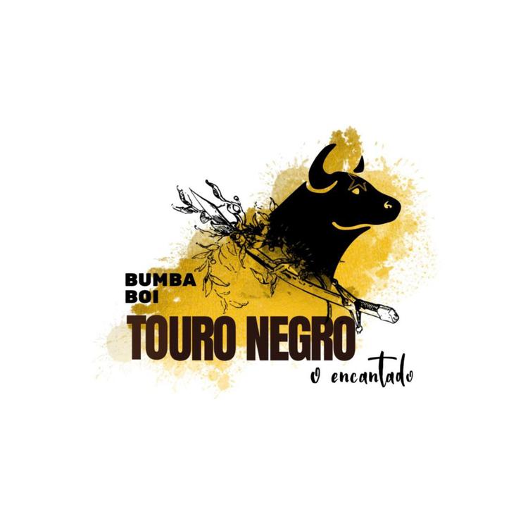 Bumba Boi Touro Negro's avatar image