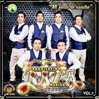 Organización Raza Musical's avatar cover