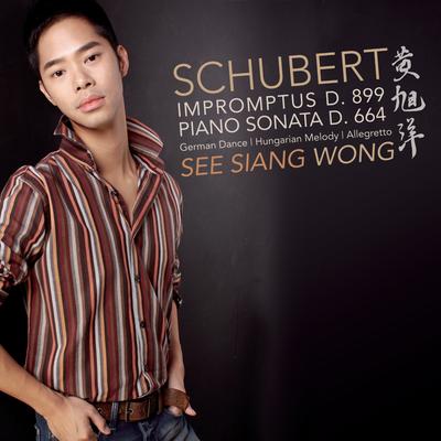 Allegretto in C Minor, D. 915 By See Siang Wong's cover