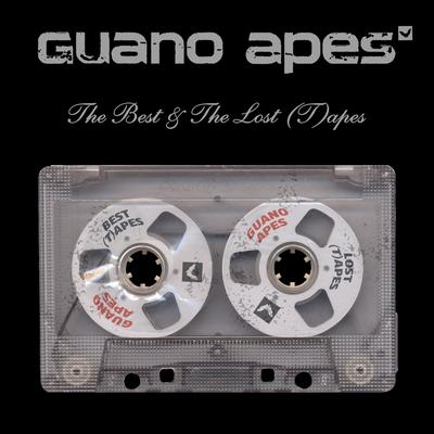 Big in Japan By Guano Apes's cover