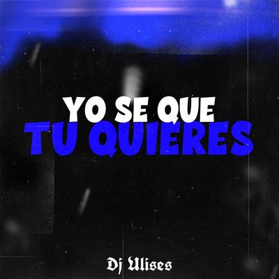 Yo Se Que Tu Quieres's cover