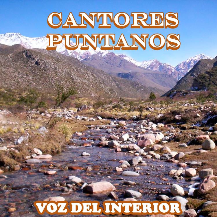 Cantores Puntanos's avatar image