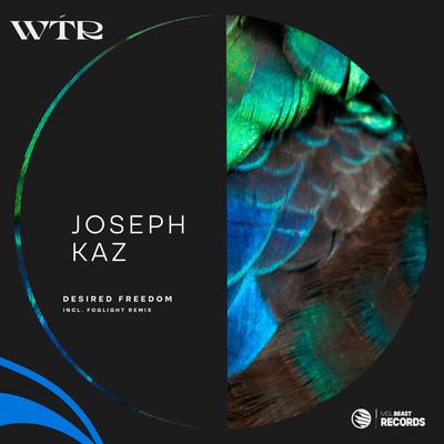 Desired Freedom By Joseph Kaz's cover