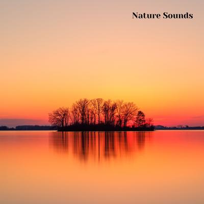 Calming Nature Sounds and Sounds of Nature, Session 1's cover