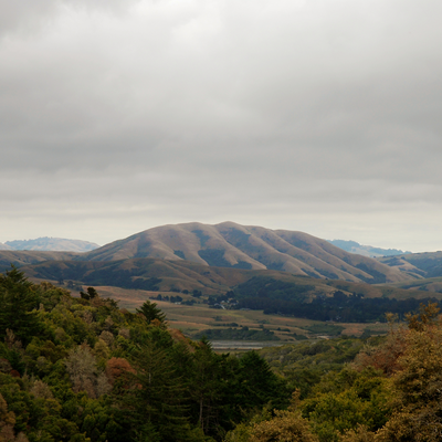 On and Ever Onward By Dirty Projectors, Björk's cover