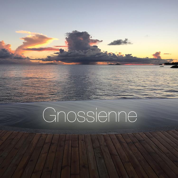 Gnossienne's avatar image
