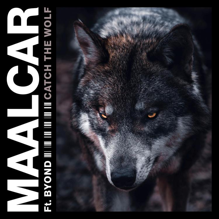 MAALCAR's avatar image