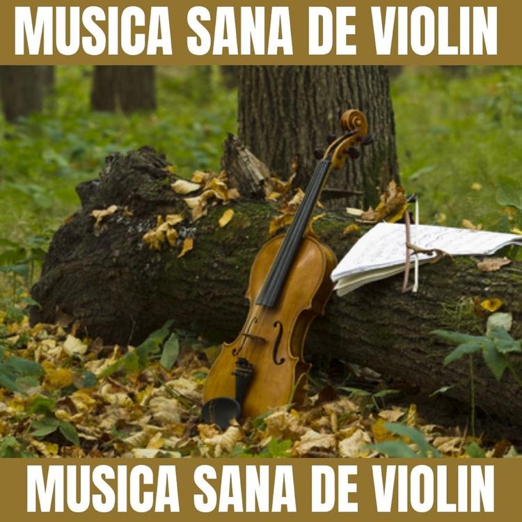 Musica Sana De Violin's avatar image