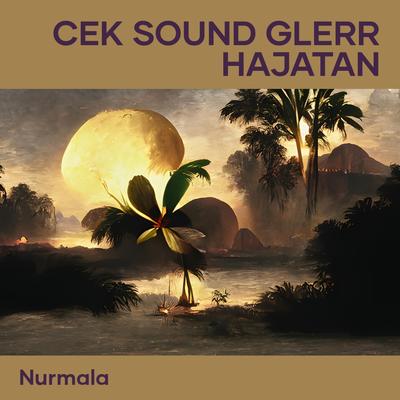 Cek Sound Glerr Hajatan's cover