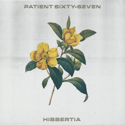 Hibbertia By Patient Sixty-Seven's cover