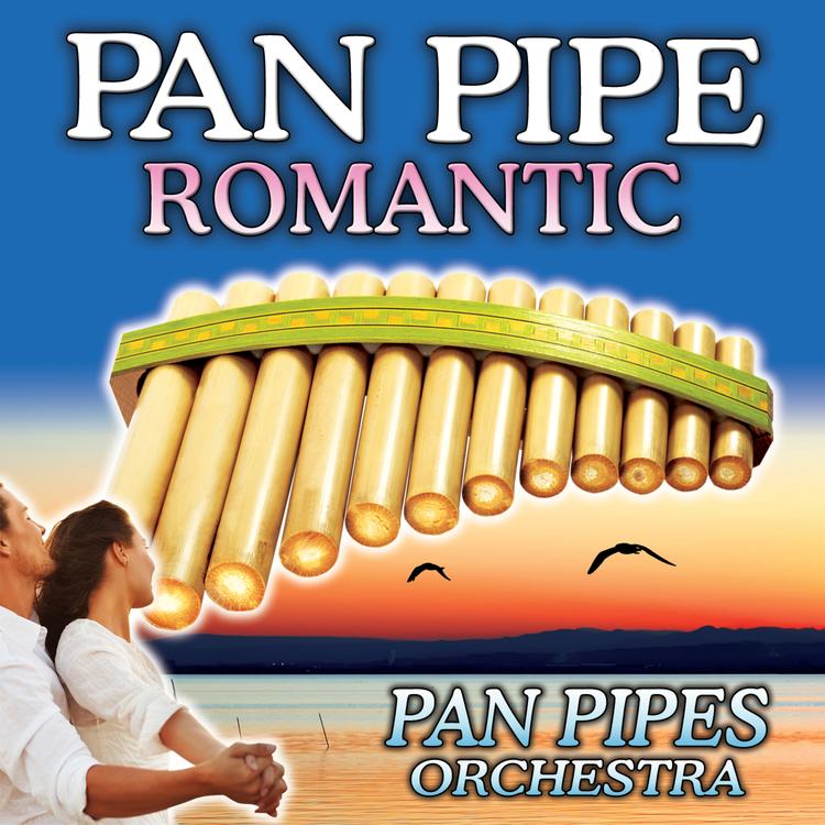 Panpipes Orchestra's avatar image