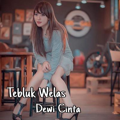 Tebluk Welas's cover