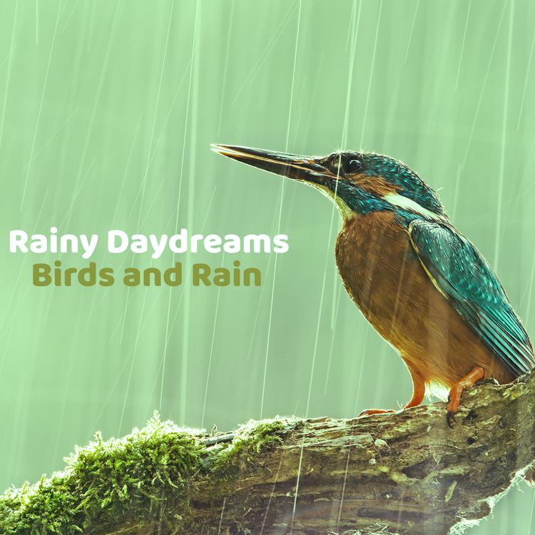 Rainy Daydreams's avatar image