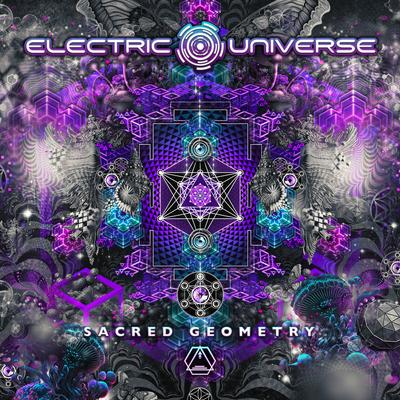 Ancient Aum By Electric Universe, Ace Ventura's cover