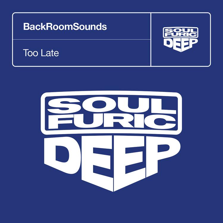 BackRoomSounds's avatar image