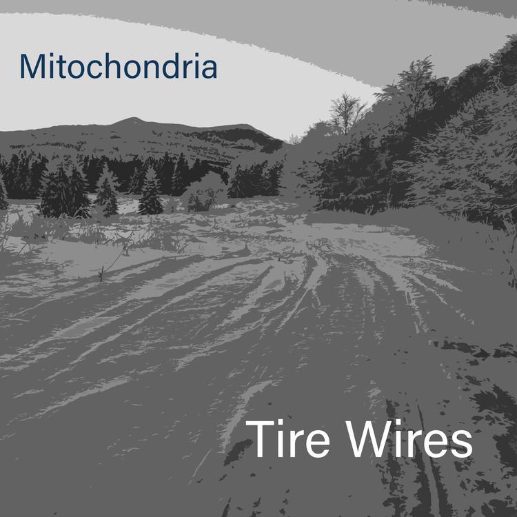 Tire Wires's avatar image