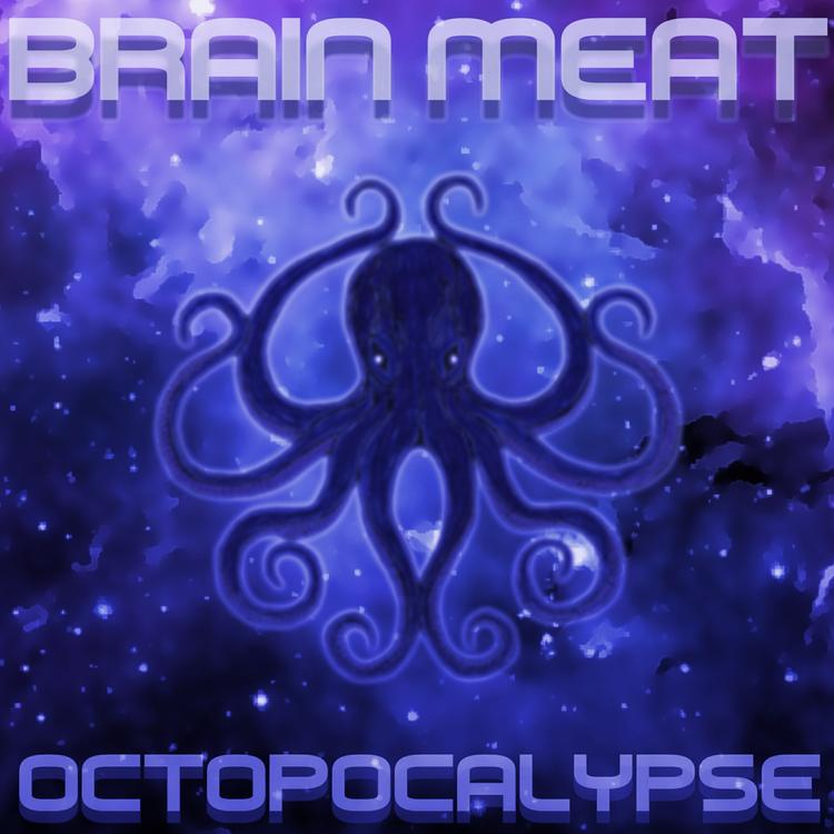 Brain Meat's avatar image