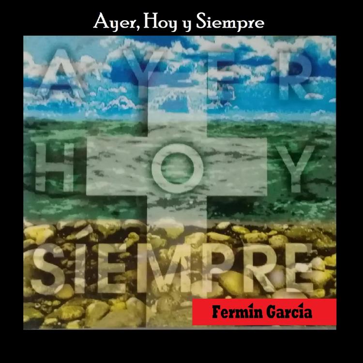 Fermin Garcia's avatar image