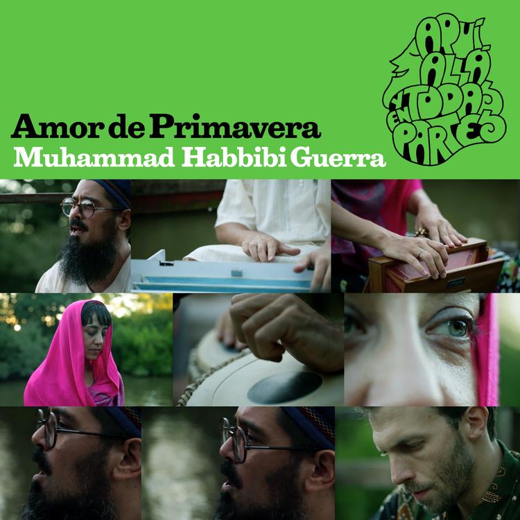 Muhammad Habbibi Guerra's avatar image