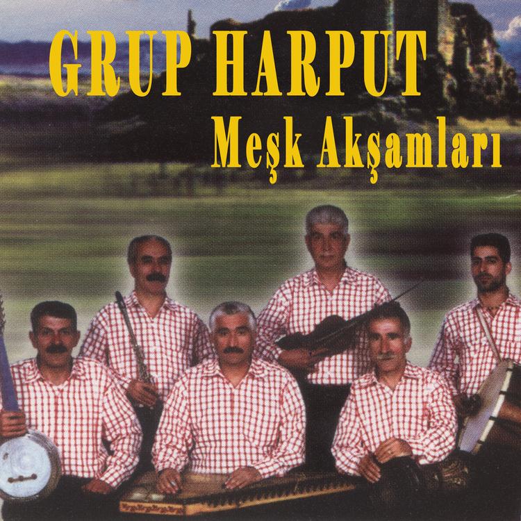 Grup Harput's avatar image