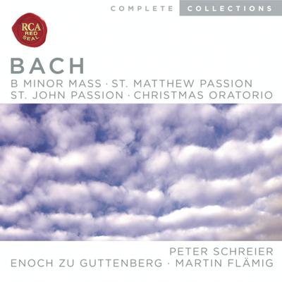 Johannes-Passion, BWV 245: Part I, Nr. 1 Chorus, Herr, unser Herrscher's cover