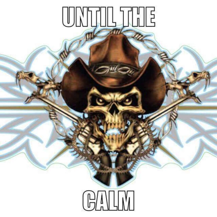 Until The Calm's avatar image